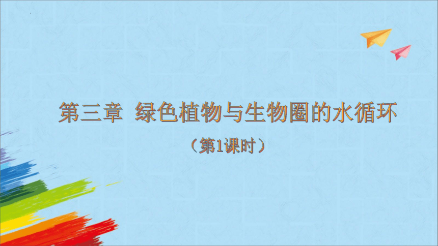 3.3 绿色植物与生物圈的水循环（第1课时）课件(共23张PPT)2022-2023学年人教版生物七年级上册