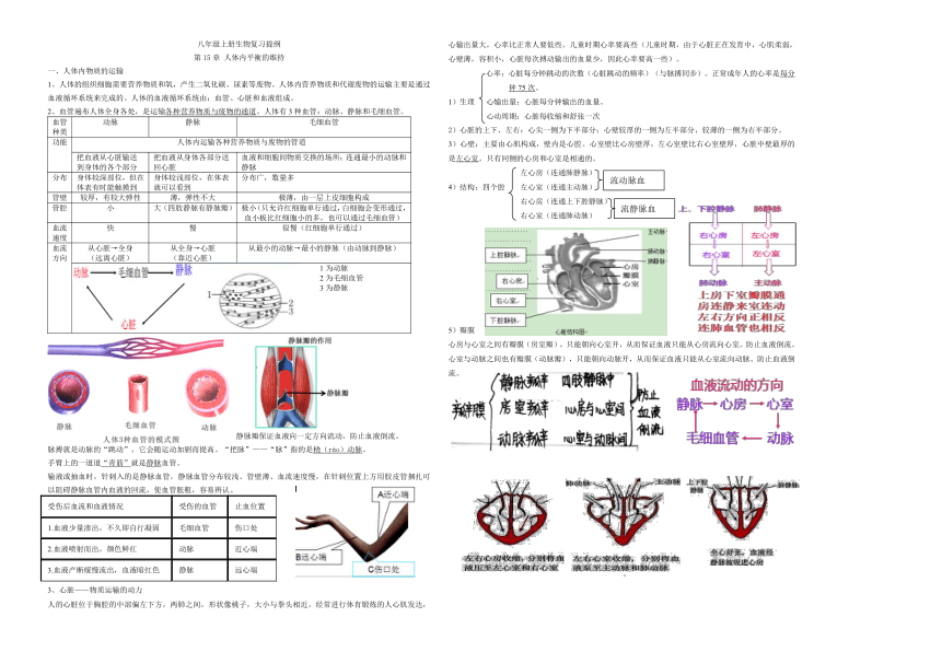 2021-2022学年苏科版八年级生物上册半期复习提纲