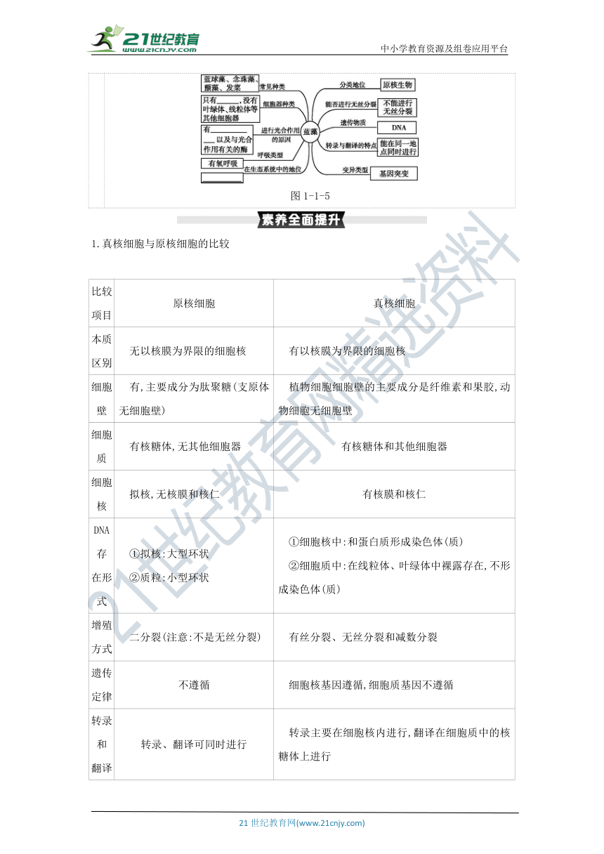 考点梳理&同步真题：第1讲   走近细胞（含答案详解）