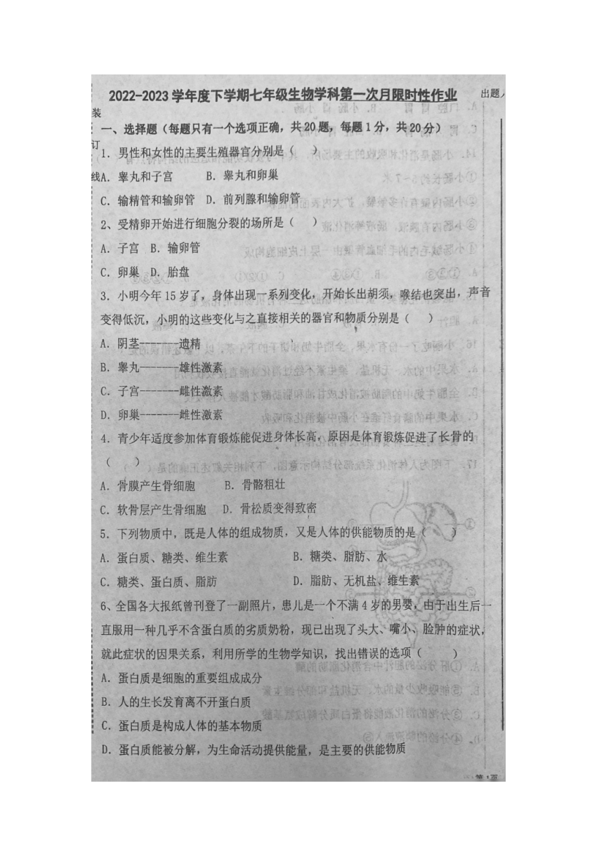 辽宁省沈阳市南昌初级中学2022-2023学年七年级下学期第一次月限时性测试生物试题（图片版含答案）