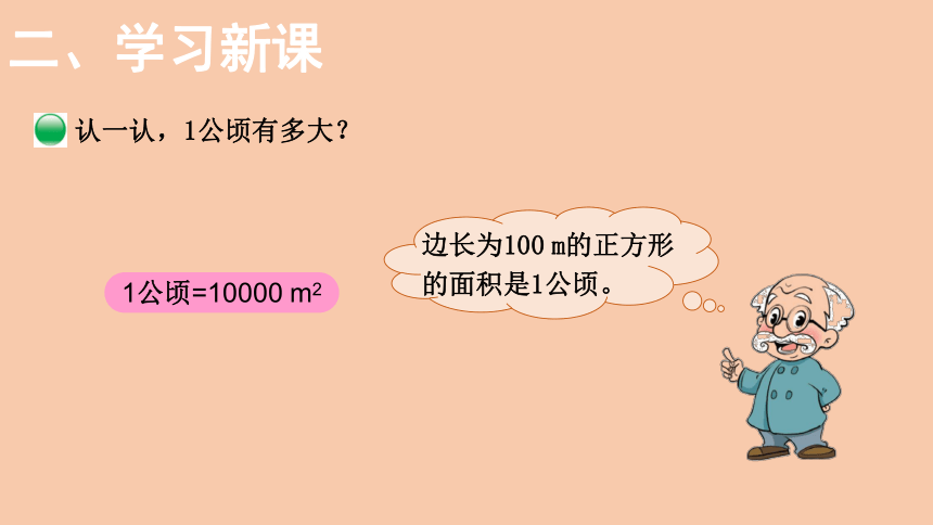 北师大版数学五年级上册6.3 公顷、平方千米  课件（14张PPT）