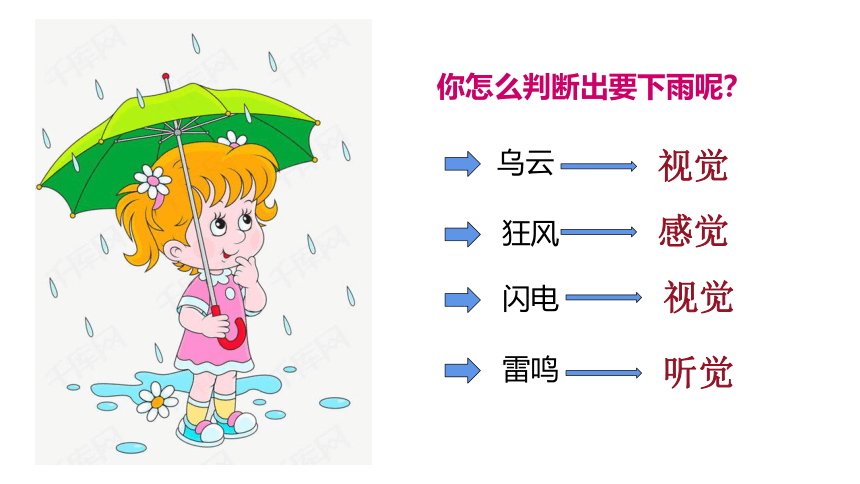 4.12.3 人体感知信息课件(共30张PPT)七年级生物下册（苏教版）