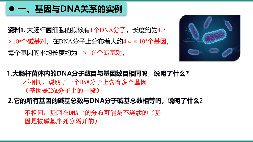 3.4基因通常是有遗传效应的DNA片段-人教版2019必修2(共20张PPT一份视频)