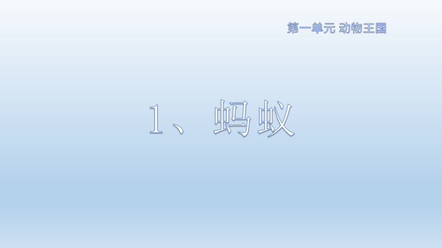 青岛版（五四制2017秋）科学四年级上册 1.1蚂蚁 （课件9张ppt）