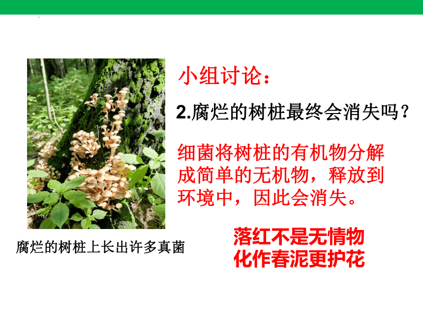 1.2.2生物与环境组成生态系统课件(共23张PPT)2023-2024学年人教版生物七年级上册