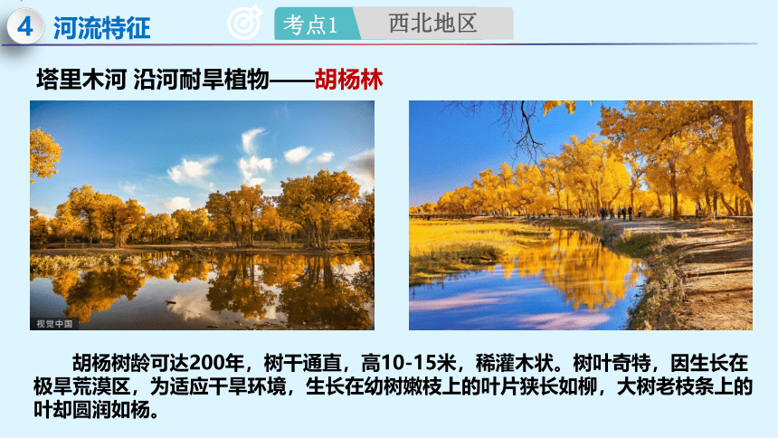 专题29 西北和青藏地区-2023年中考地理一轮复习精讲课件(共56张PPT)