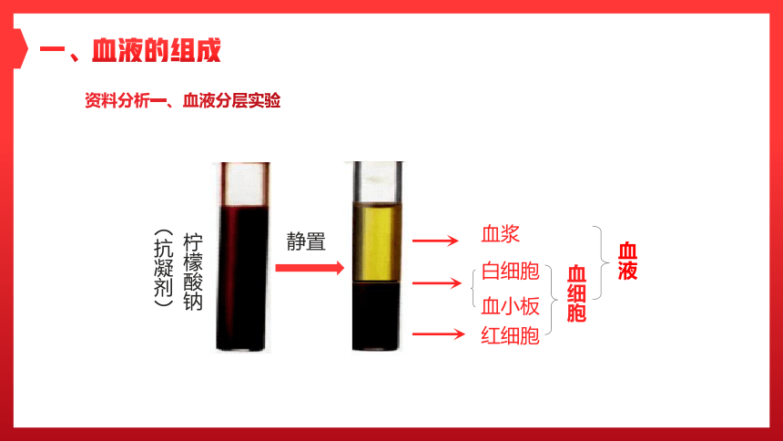 第一节 流动的组织──血液 课件（25张PPT）