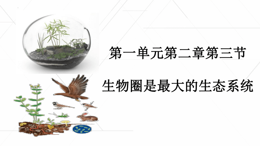 1.2.3 生物圈是最大的生态系统课件(共27张PPT) 2022-2023学年人教版生物七年级上册