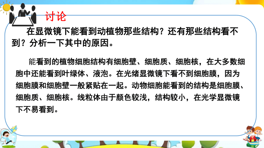 8.1 生物体的基本结构（第2课时）课件（共43张PPT）七年级下册生物（苏科版）