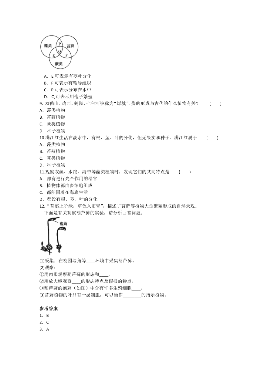 2019-2020学年人教版生物七年级上册第三单元第一章《生物圈中有哪些绿色植物》章节汇总练习题及答案