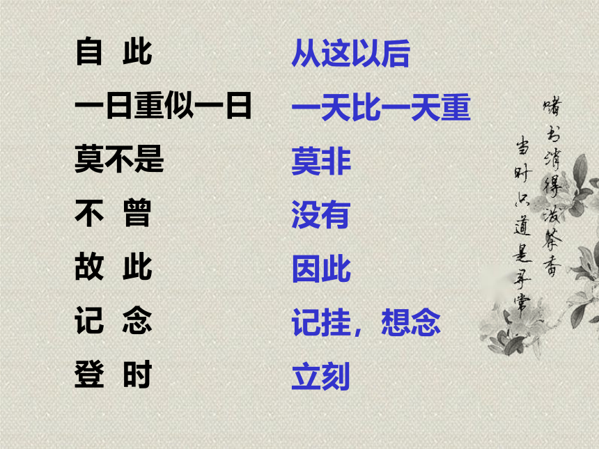 13人物描写一组 两茎灯草课件(共22张PPT)