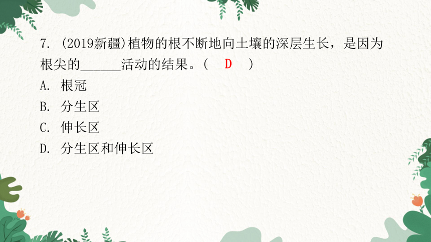 人教版生物七年级上册 第三单元生物圈中的绿色植物章末总结第二章被子植物的一生课件(共31张PPT)