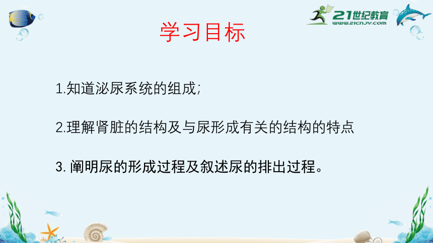 人教版七年级生物下册4.5人体内废物的排出（共35张）