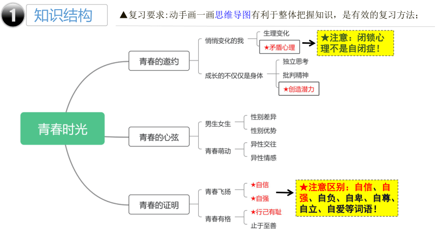 第一单元 青春时光 复习课件(共31张PPT) 统编版道德与法治七年级上册