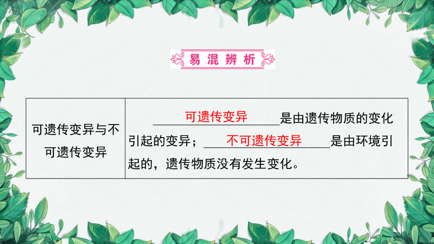 2023年中考生物复习 课题五 遗传变异与遗传病课件(共31张PPT)