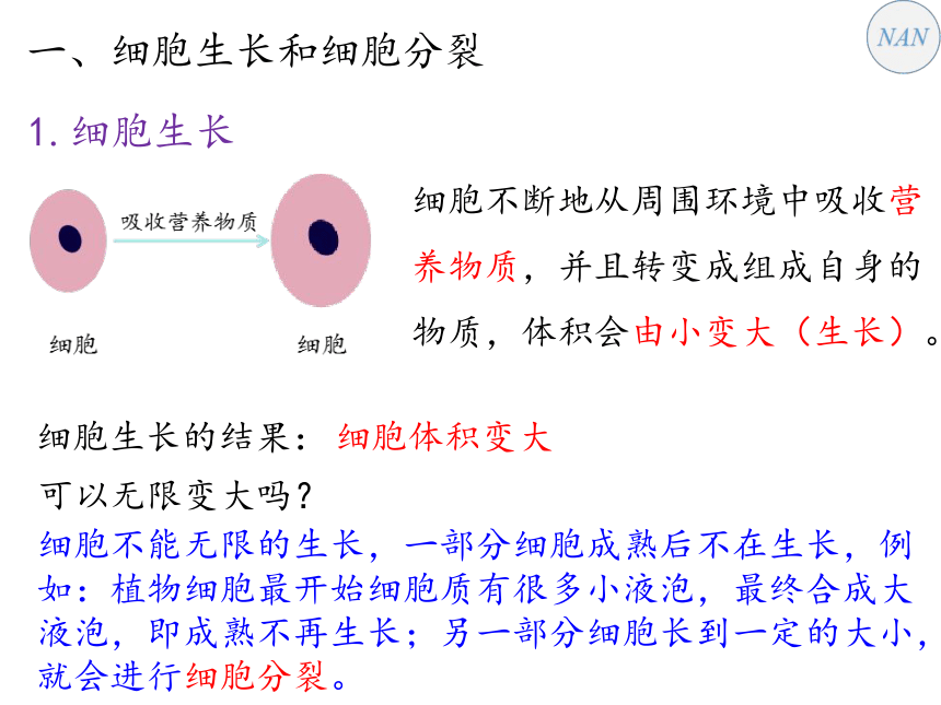 2021—2022学年人教版七年级上册 2.2.1 细胞通过分裂产生新细胞课件  （共17张PPT）