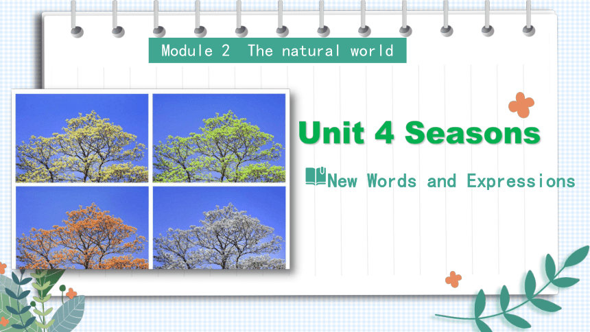 牛津深圳版七年级上册Module 2 The natural world Unit4  Seasons   Vocabulary 课件 (共48张PPT)