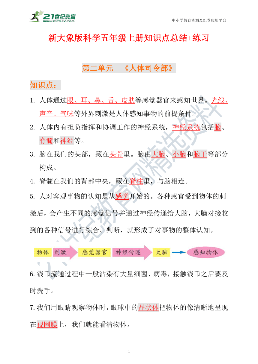 新大象版科学五年级上册第二单元知识点总结+练习