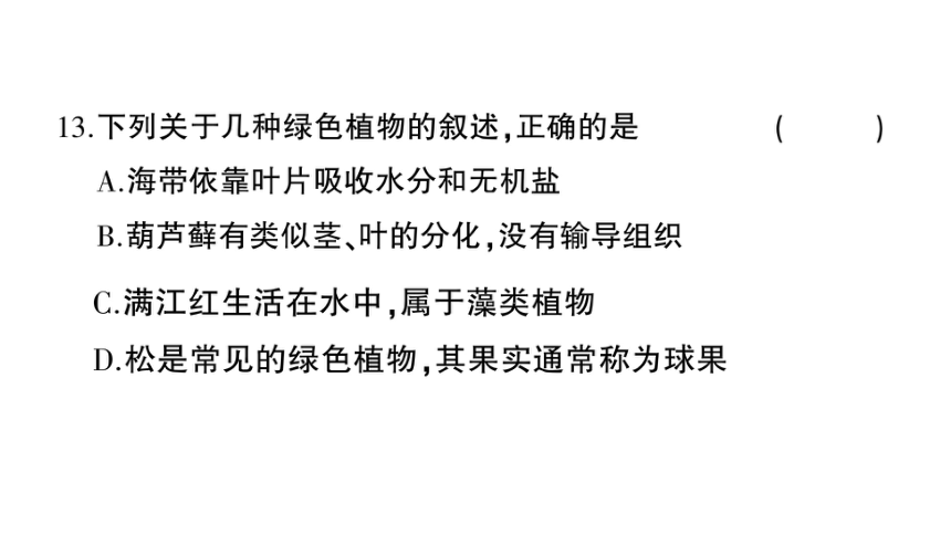 湖南吉首市第二初级中学2022-2023学年七年级生物上册期末综合检测卷课件（41张PPTt)