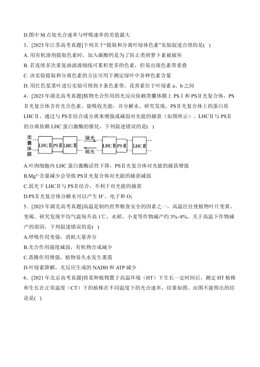 考点六：光合作用——（2020—2023）四年高考生物学真题专项汇编【新高考版】（含答案）