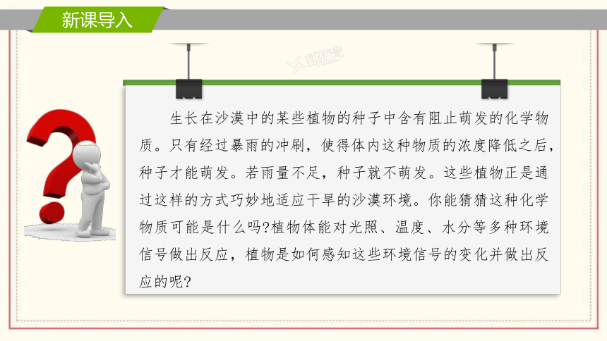 5.3植物对多种环境信号做出反应课件(共30张PPT)2022-2023学年高二上学期生物浙科版选择性必修1