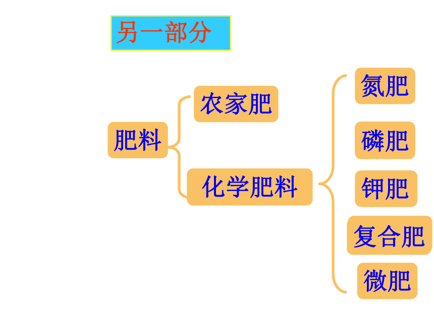 2020-2021学年人教版（五四学制）化学九年级全册  第四单元  课题2  化学肥料  课件(共45张PPT)