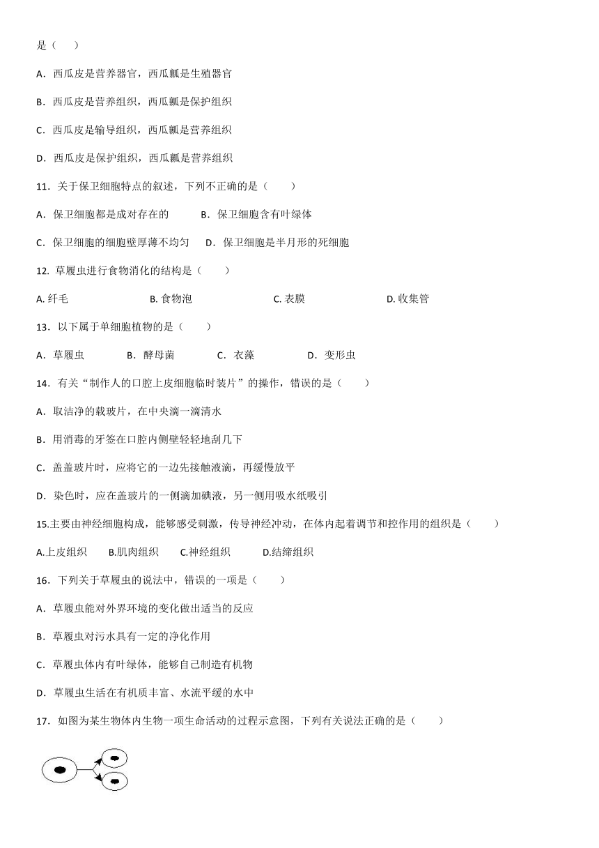 人教版七年级上册生物2.2细胞怎样构成生物体训练题（word版含答案）