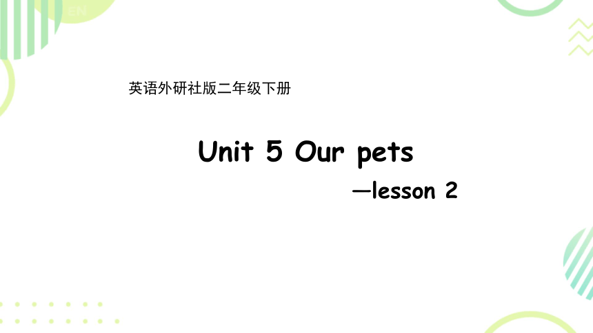 Unit5 our pets Lesson 2  课件(共18张PPT)