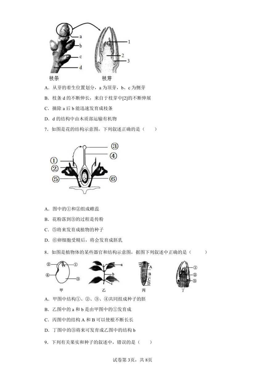 山东省泰安市东平县2021-2022学年六年级下学期期末生物试题(word版含答案)