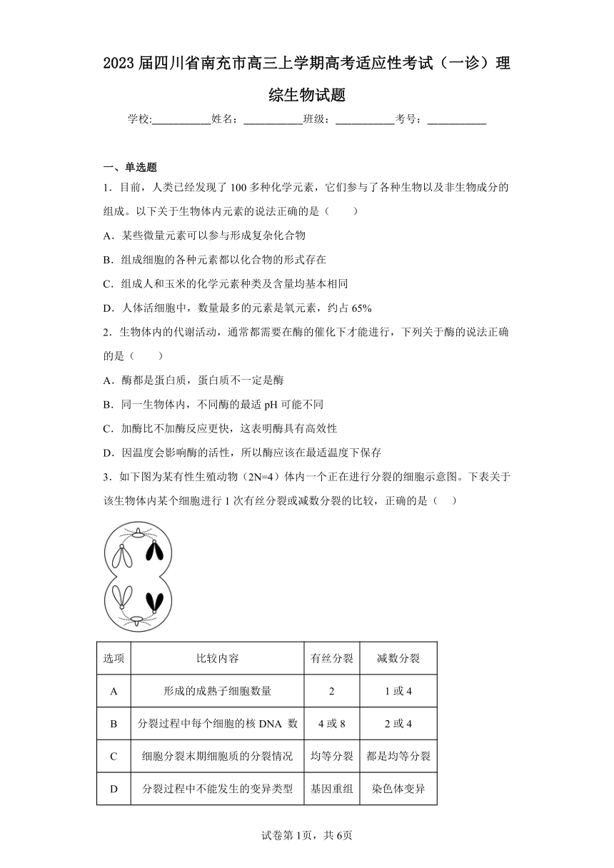 2023届四川省南充市高三上学期高考适应性考试（一诊）理综生物试题（含答案）