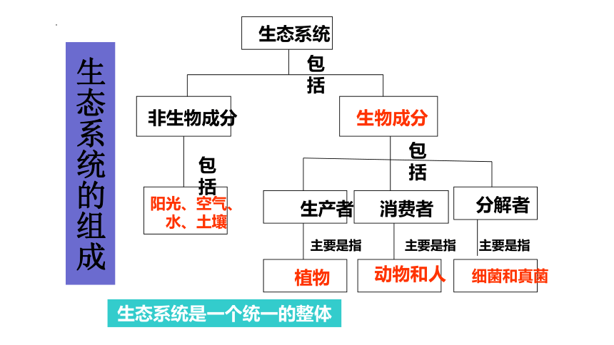 2.3.1  多种多样的生态系统课件(共34张PPT)2022-2023学年苏科版生物七年级上册