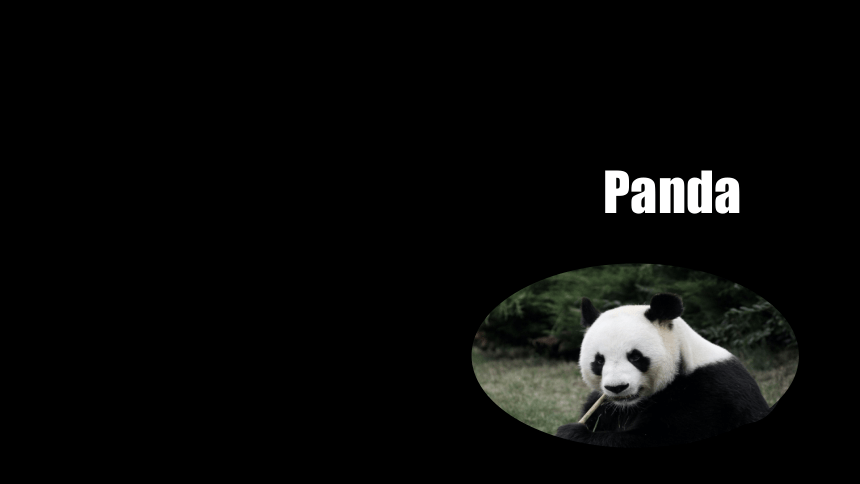 （新课标）Unit 5 Section A 2a-2d 课件 + 内嵌音频 （新目标英语七下Unit 5 Why do you like pandas?）