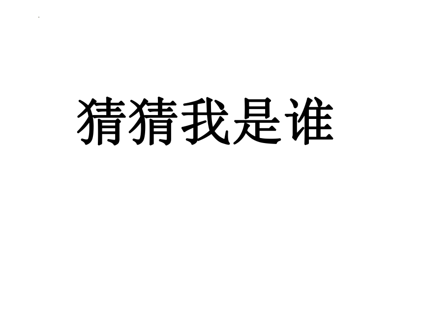 湘美版美术二年级上册 猜猜我是谁（课件）(共12张PPT)