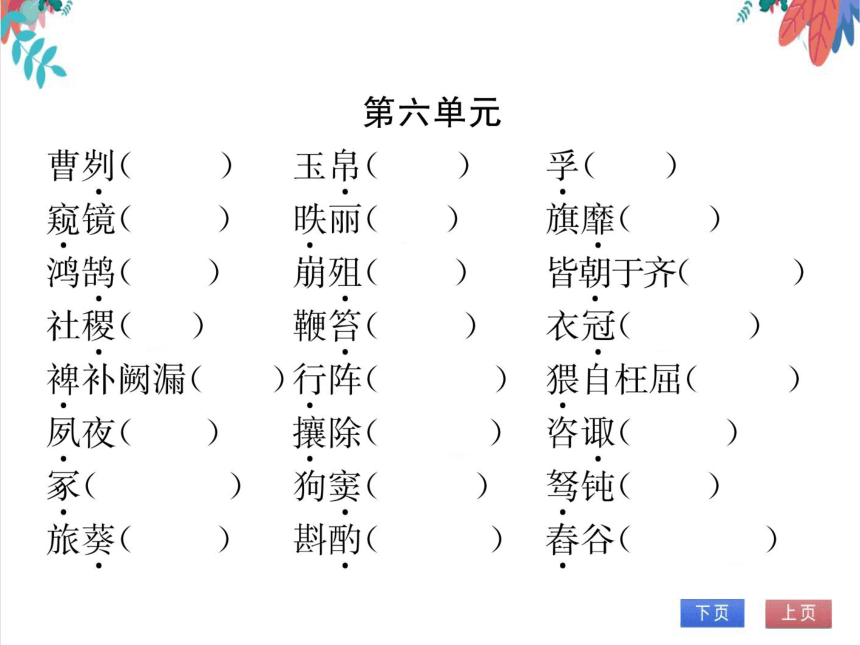 6da7b4859f03865a4704a02667e265a8.png