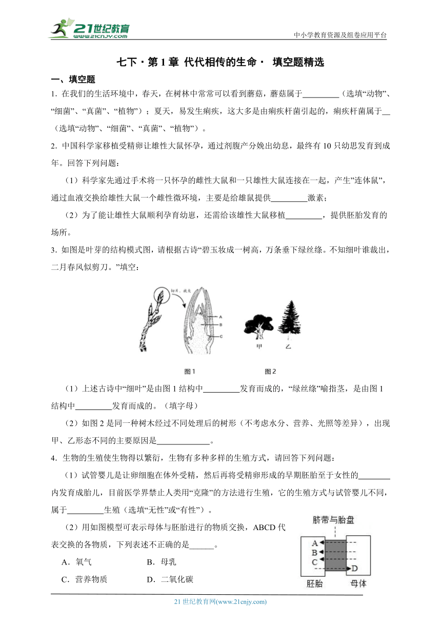 浙教版科学 七下 第1章 代代相传的生命 章节填空题精选（含答案）