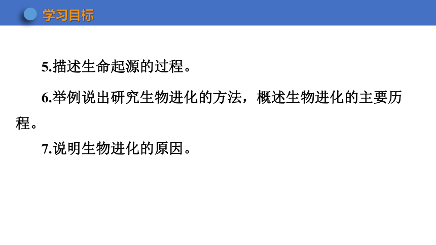 第七单元 生物圈中生命的延续和发展 复习课件(共34张PPT) 2023-2024学年 初中生物人教版八年级下册