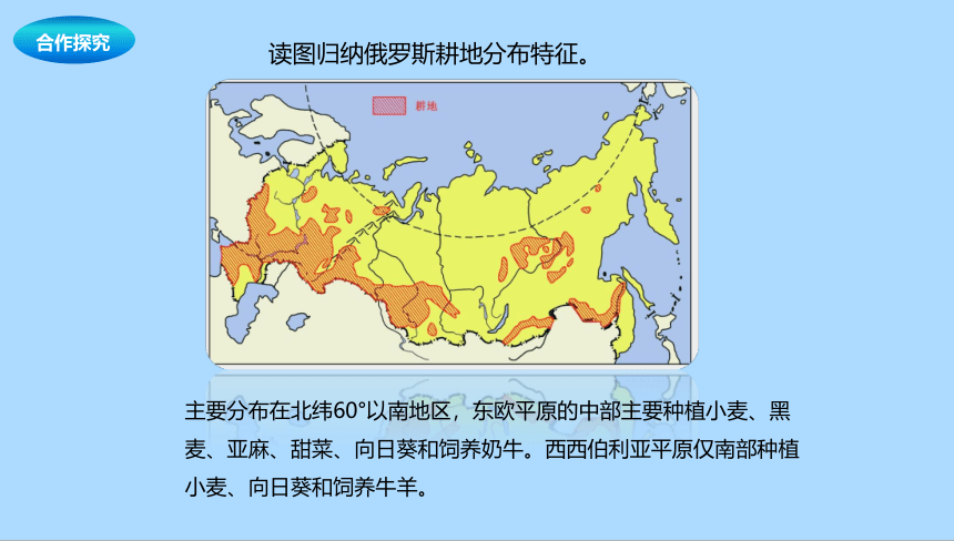 中图版（北京）地理八年级下册7.4.2俄罗斯课件(共21张PPT)