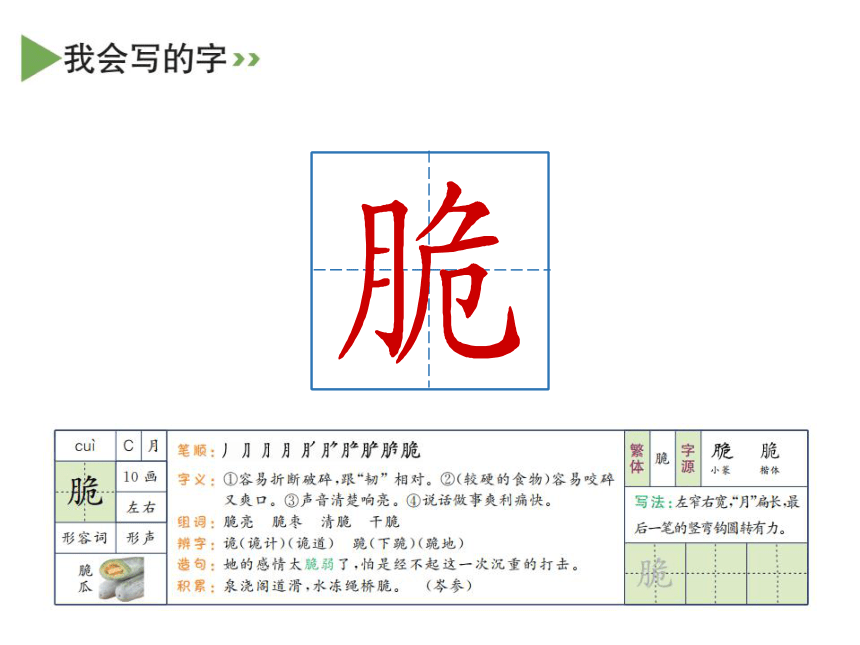 16 表里的生物 课件（共32张PPT）