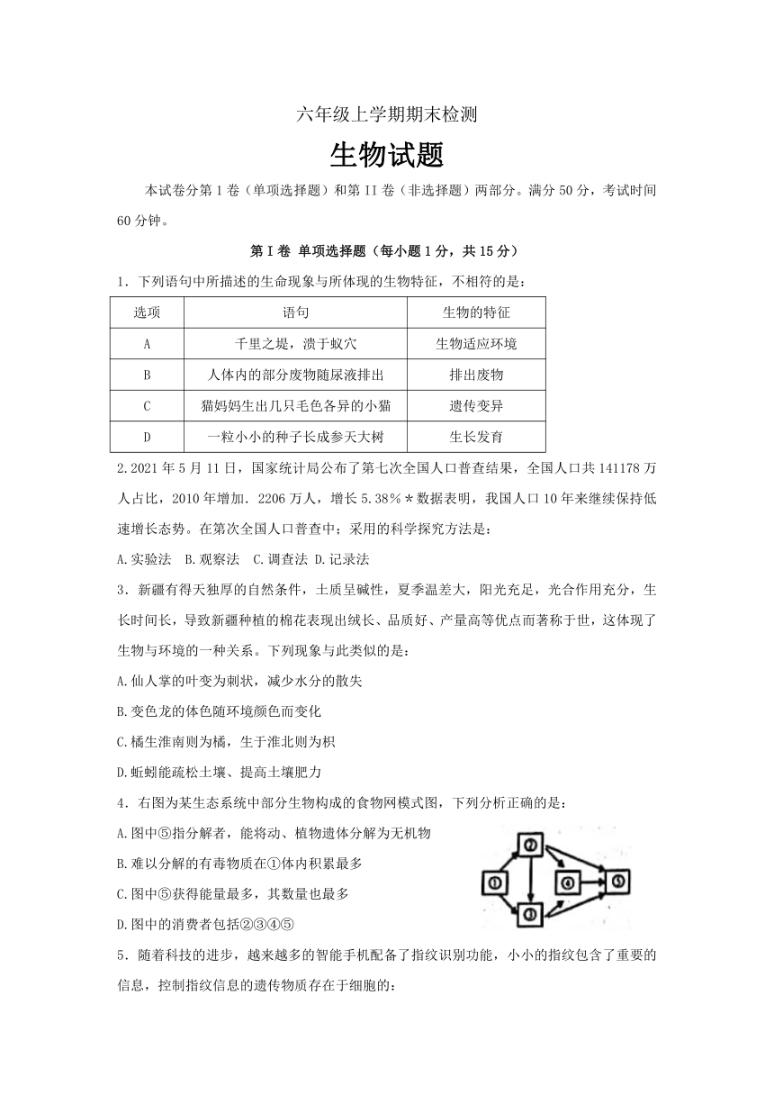 山东省泰安市新泰市2021--2022学年六年级上学期生物期末考试（word版无答案）