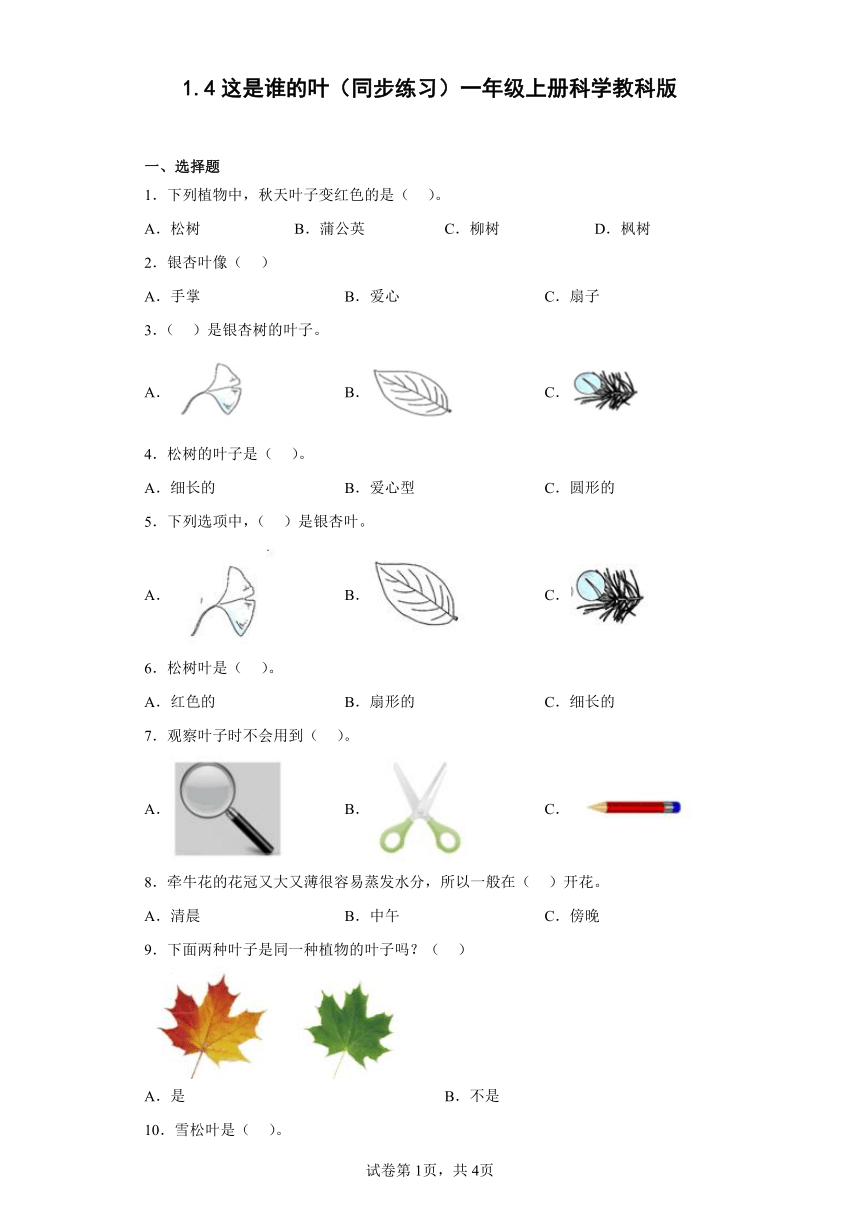 教科版（2017秋）科学 一年级上册 1.4这是谁的叶 同步练习（含答案）