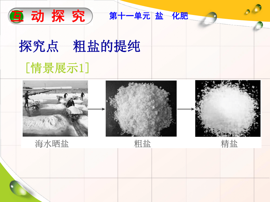 第十一单元 盐和化肥 实验活动8 粗盐中难溶性杂质的去除 —人教版九年级化学下册课件(共29张PPT)