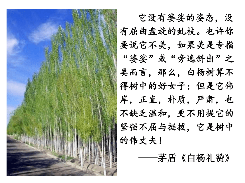 人教版高中语文-选修--中国现代诗歌散文欣赏《树（节选）》课件2(共26张PPT)