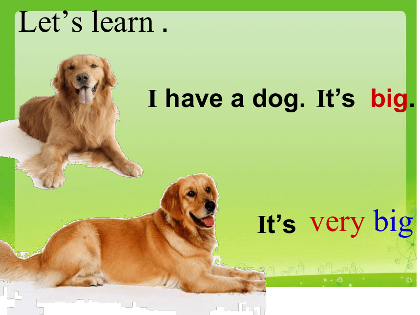 Unit8 Do you have a dog？period 2 课件(共11张PPT)