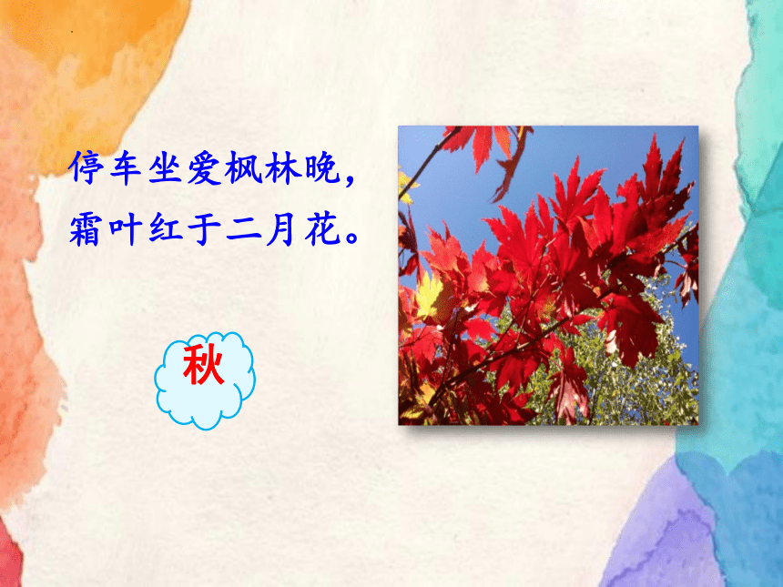 22《四季之美》第一课时课件(共22张PPT)