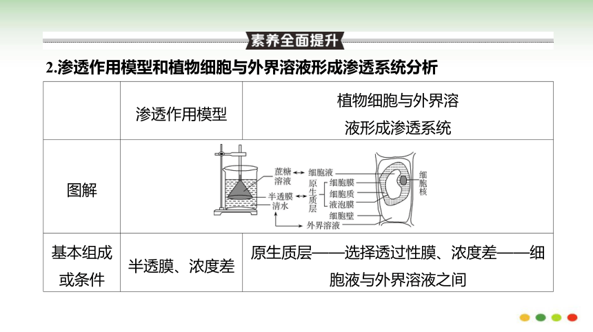 高三生物一轮复习：第7讲  细胞的物质输入和输出(共95张PPT）