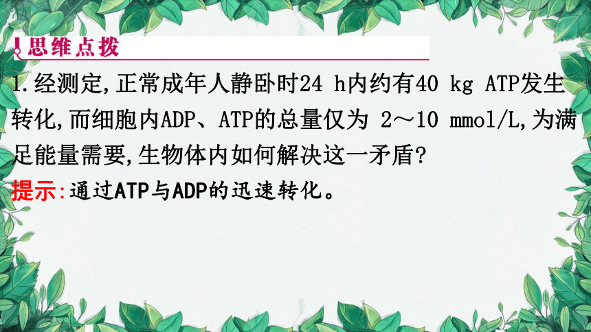 浙科版（2019）生物必修一 第三章第一节 ATP是细胞内的“能量通货”课件(共31张PPT)