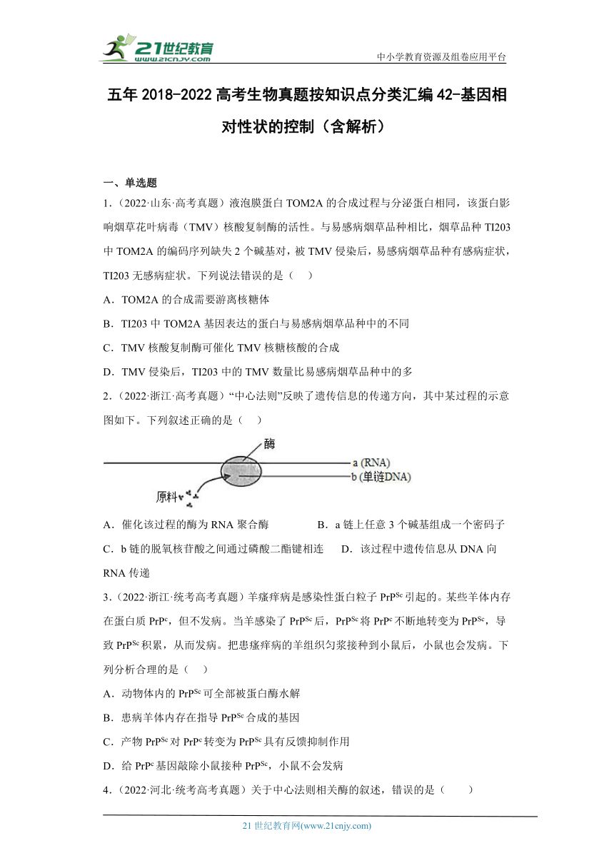 五年2018-2022高考生物真题按知识点分类汇编42-基因相对性状的控制（含解析）