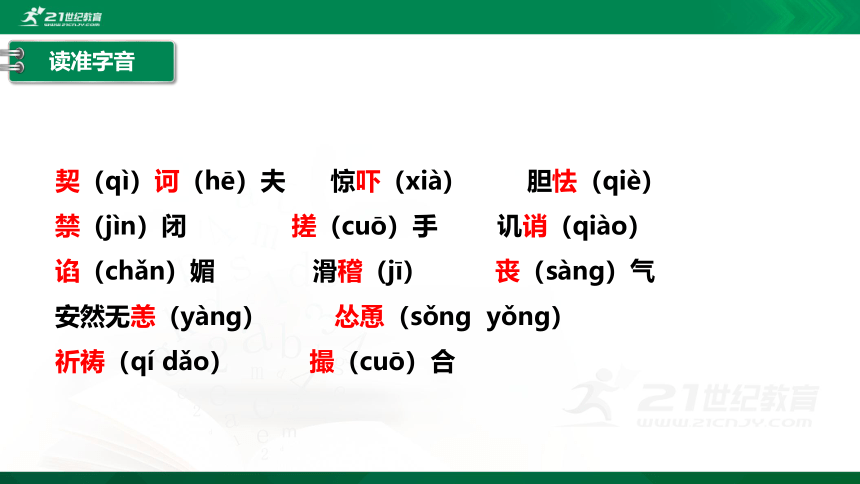 13.2 装在套子里的人 课件