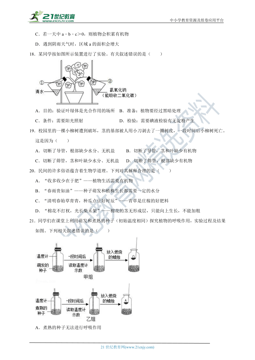 华师大八上第四章 植物的物质和能量的转化 练习（含解析）