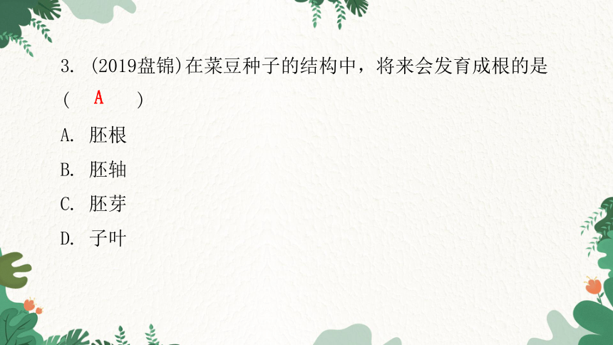 人教版生物七年级上册 第三单元生物圈中的绿色植物章末总结第二章被子植物的一生课件(共31张PPT)